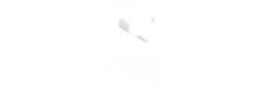 Chartres innovations numériques